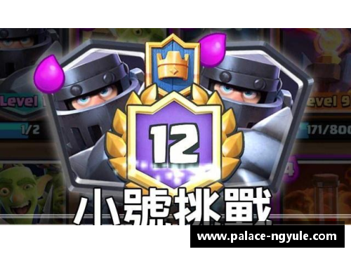 ng娱乐骑士球队新赛季阵容整合完成，备战新赛季挑战霸主 - 副本